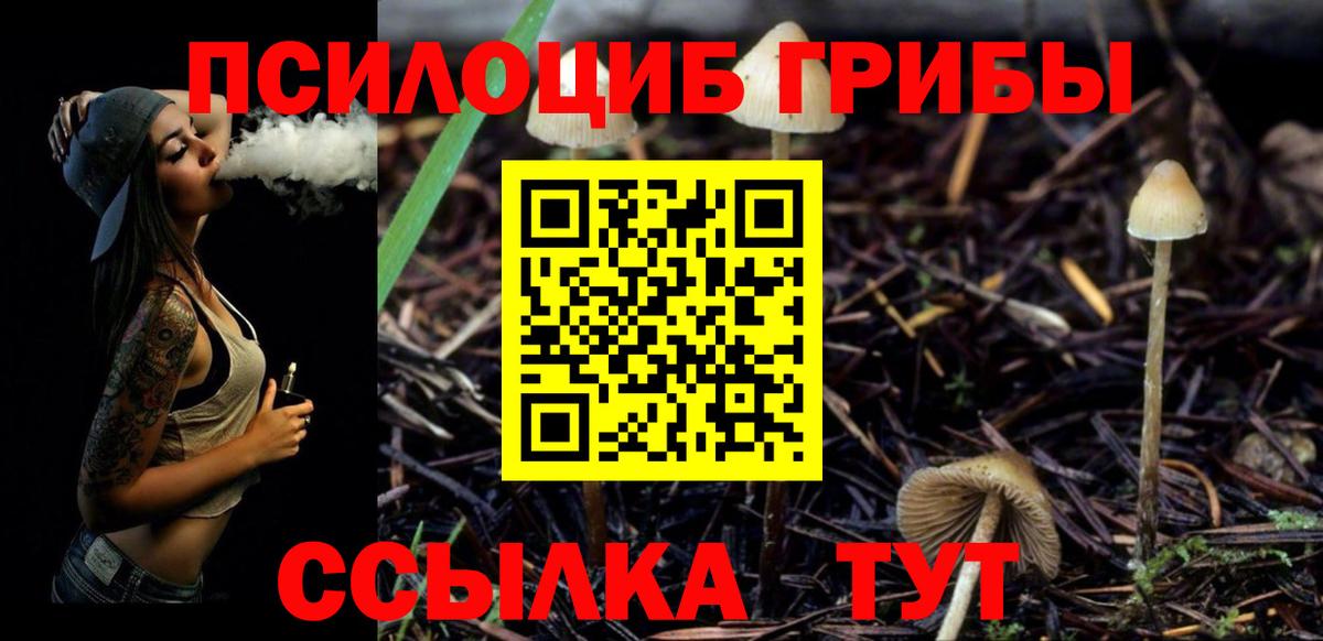 Кызыл  Псилоцибиновые грибы MAGIC MUSHROOMS  Вход с VPN 