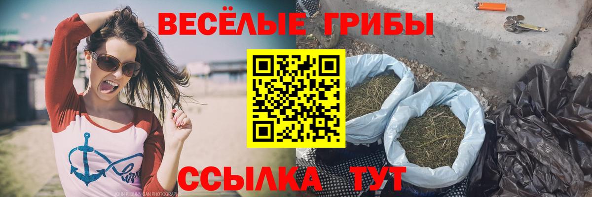 Псилоцибиновые грибы Cubensis Кызыл